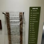 2023OTRA_537 (May 05, 2023)